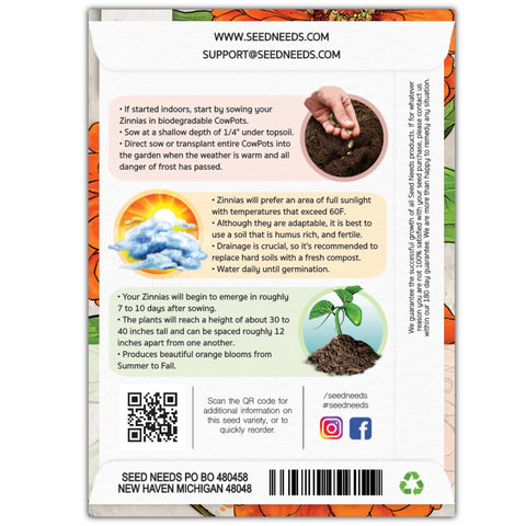 Seed Needs Orange King Zinnia plant height in a sunny bed for impact.