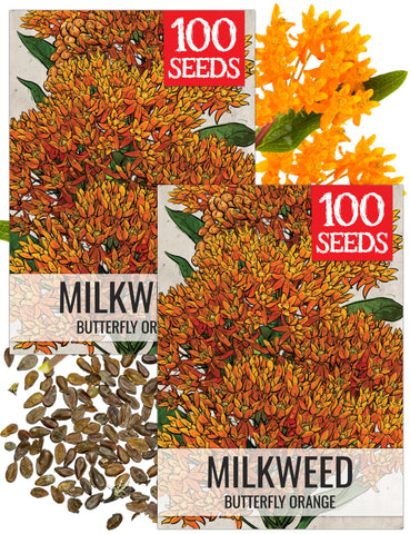 Seed Needs orange milkweed seeds packaging ready for sowing in monarch gardens.