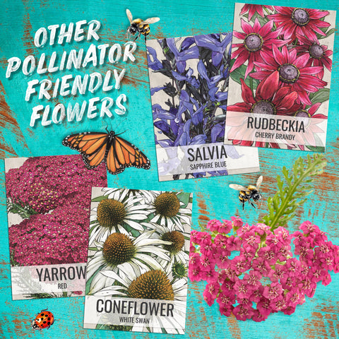 Seed Needs two-pack set is ready for sharing or future seasons.