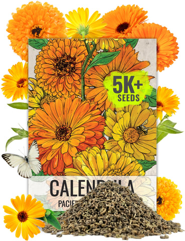 Seed Needs Pacific Beauty Mix blooms brighten beds with rich orange and yellow petals.