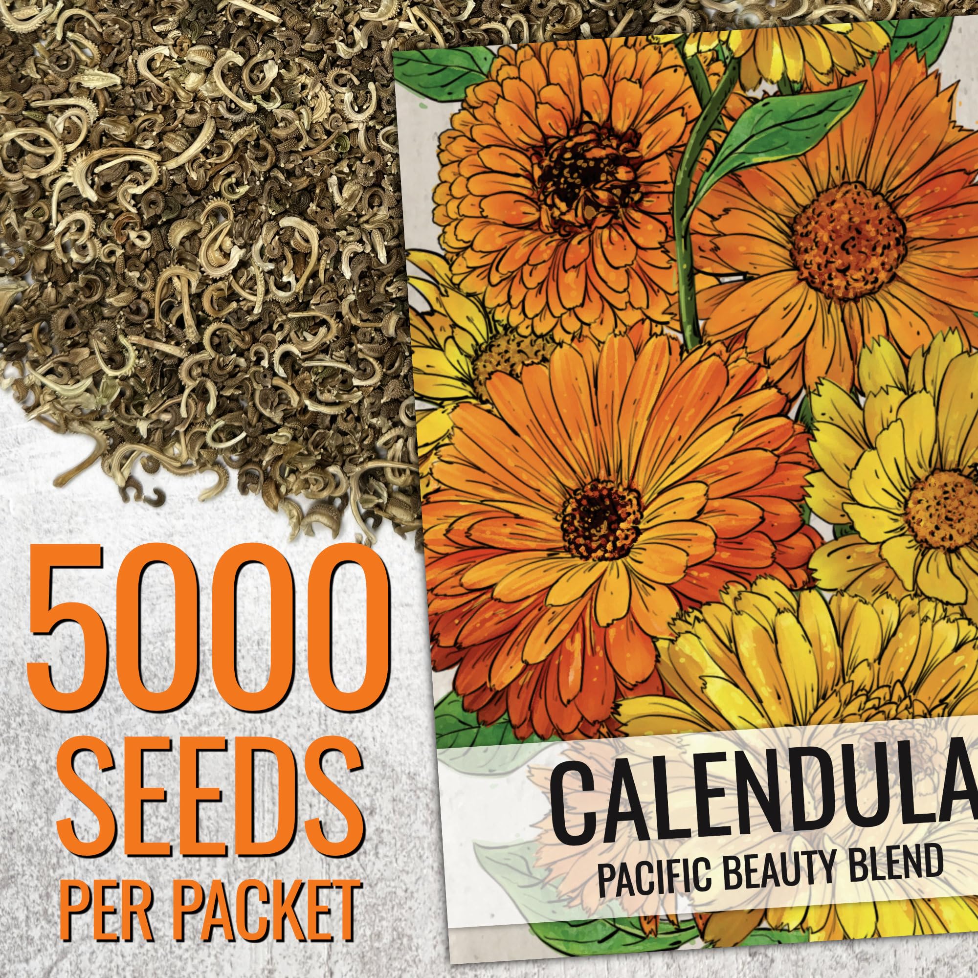 Seed Needs Pacific Beauty Mix in a garden bed attracts pollinators like bees.