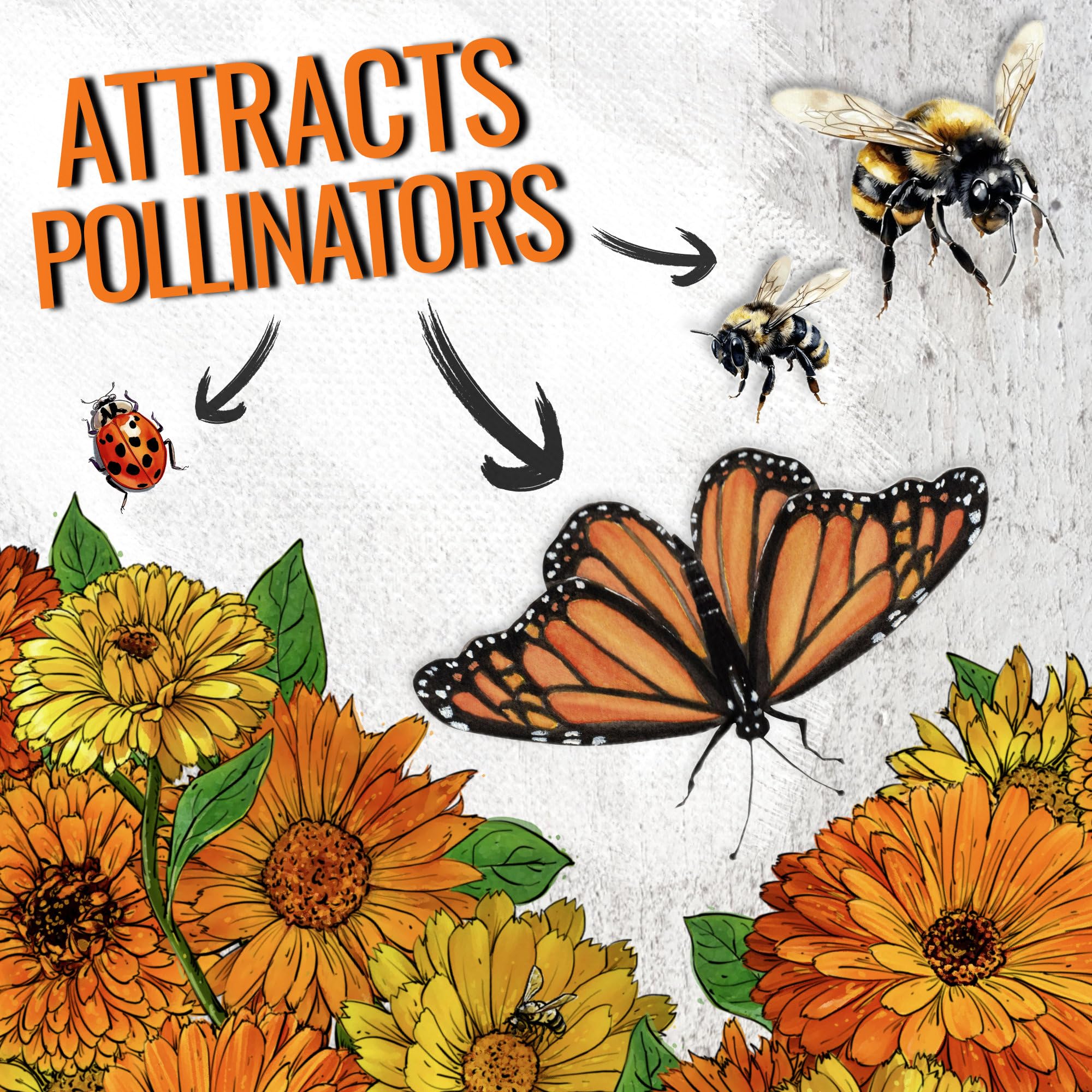 Seed Needs Pacific Beauty Mix orange-yellow blossoms are ideal for containers.