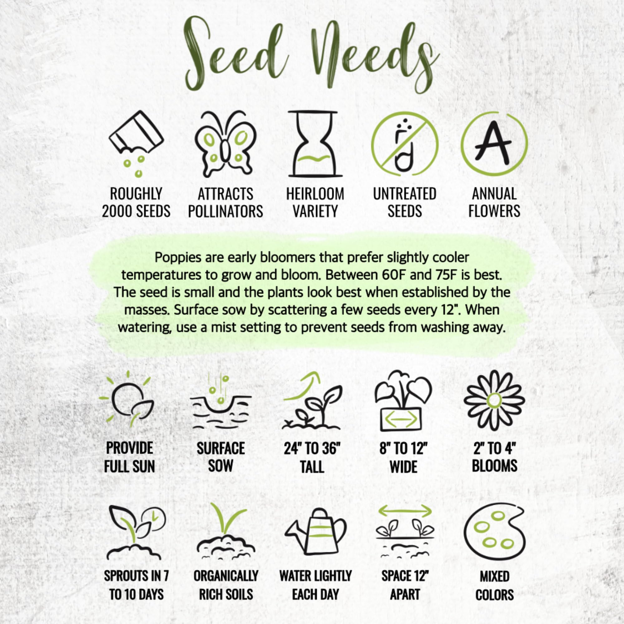 Seed Needs minimal care once established with occasional watering.