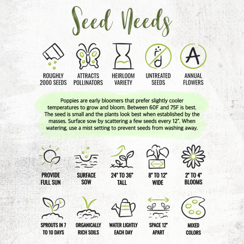 Seed Needs minimal care once established with occasional watering.