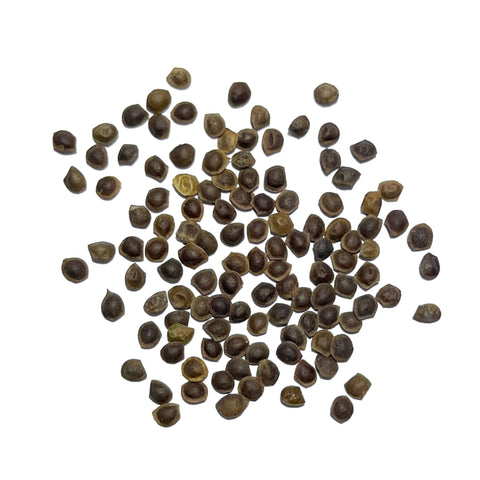 Seed Needs moisture-resistant packaging helps keep seeds fresh
