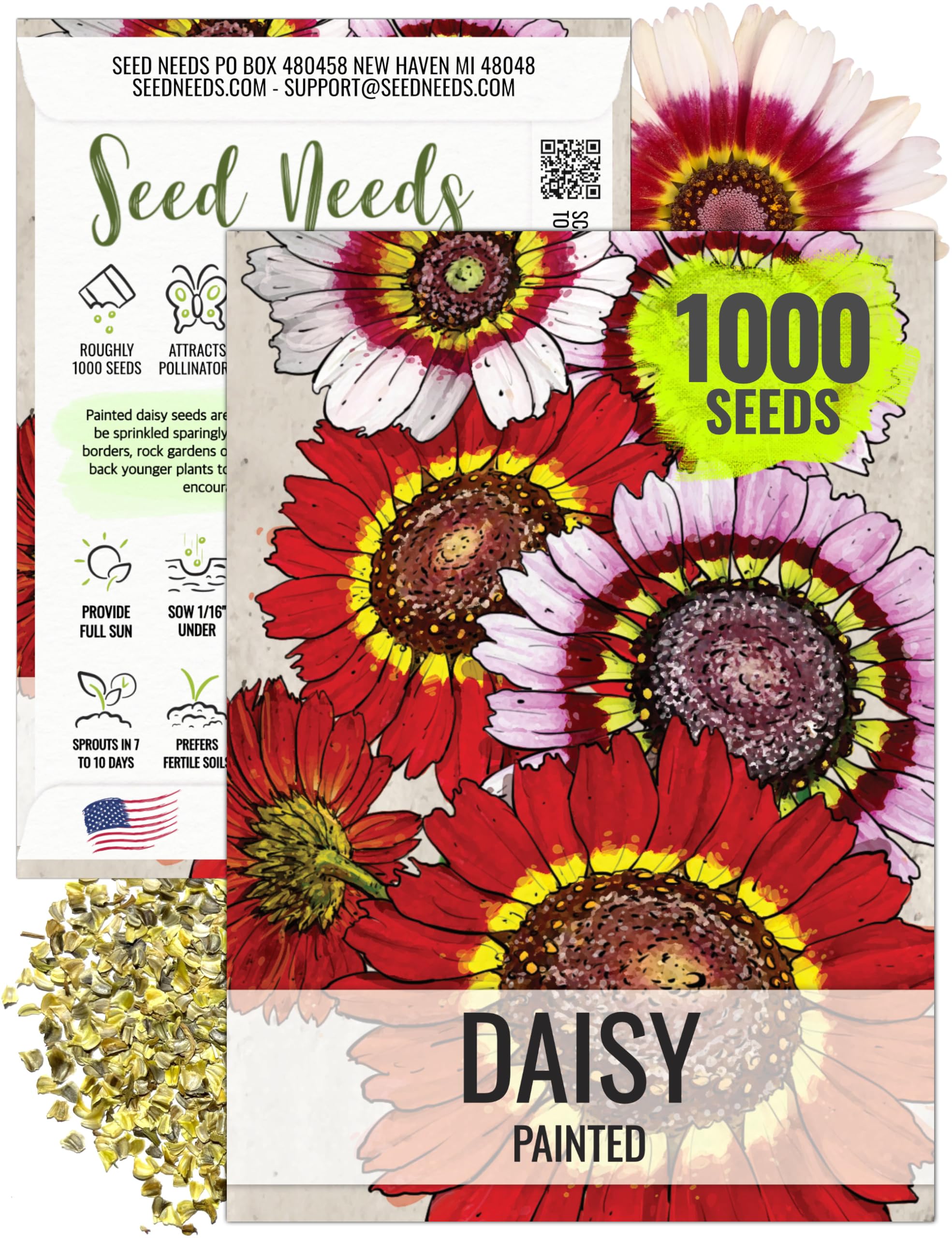 Seed Needs Painted Daisies with bi-colored petals brighten garden color.