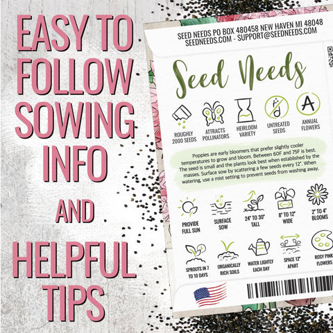 Seed Needs Pale Rose Peony Poppy in a sunny flower bed