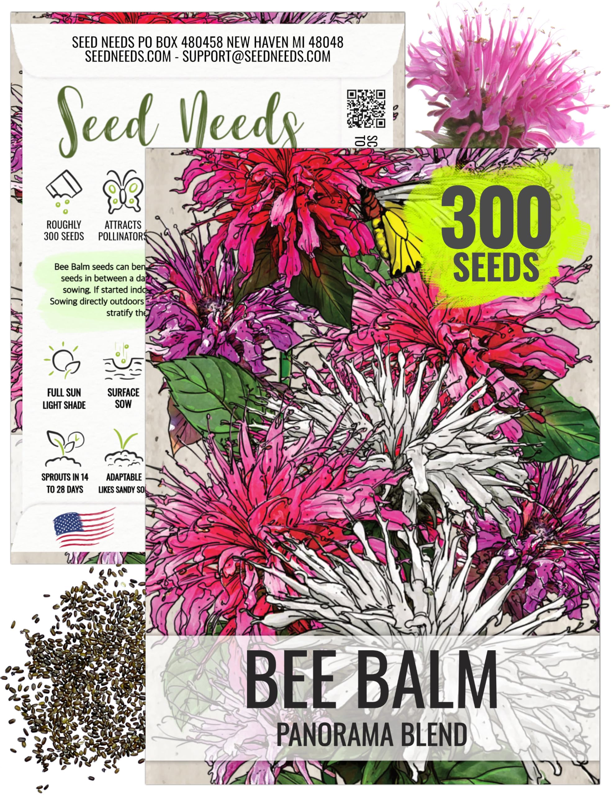 Seed Needs Panorama Bee Balm blooms form a vibrant cluster, attracting pollinators and brightening borders.