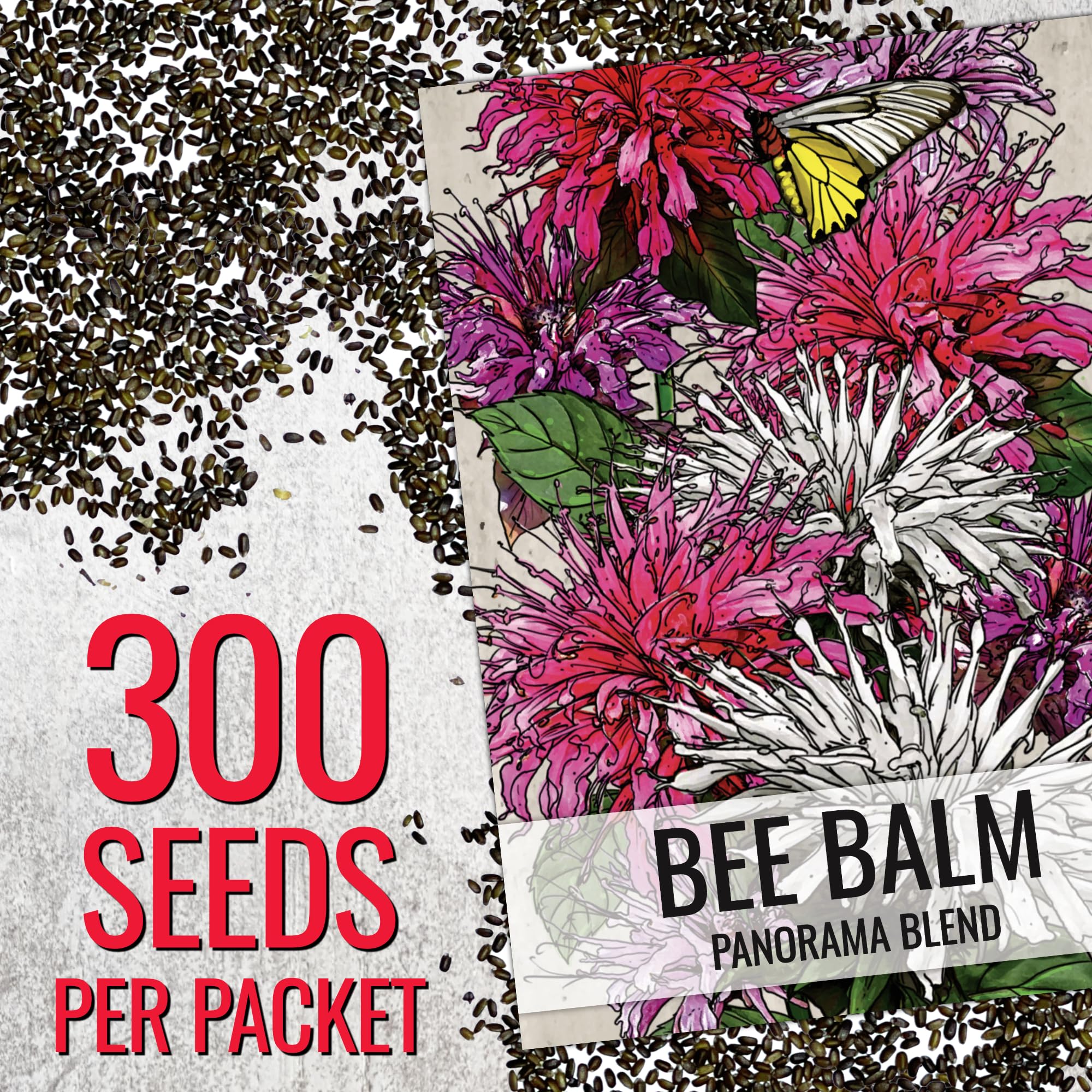 Seed Needs Panorama Bee Balm leaves and flowers are edible, great for teas or light garnishes.