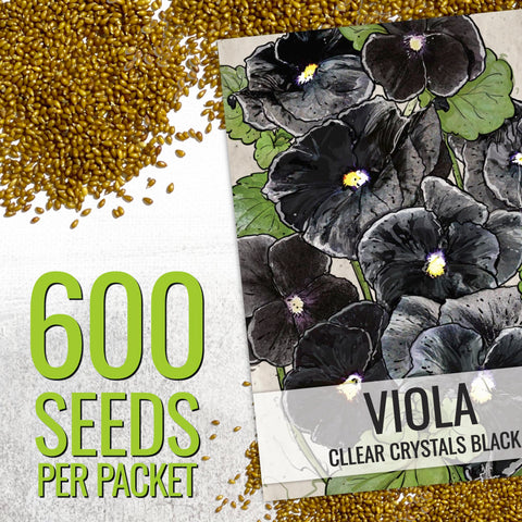 Seed Needs pansy container display adds elegance to a small balcony