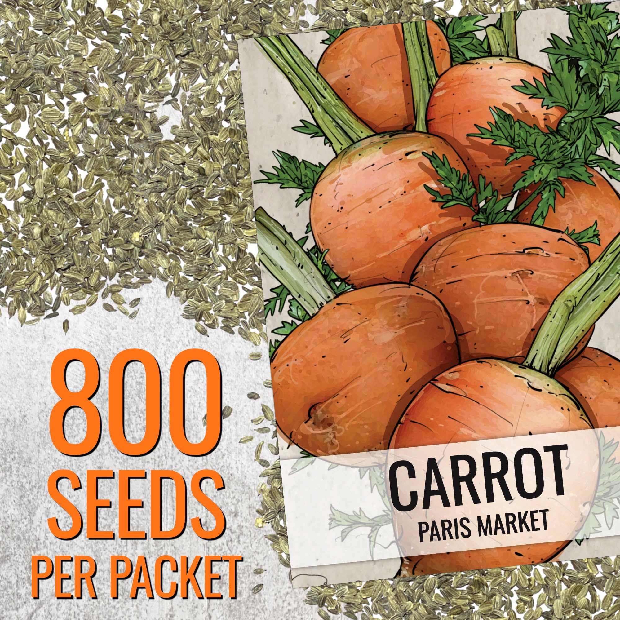 Seed Needs Paris Market carrot container garden ideal for small spaces