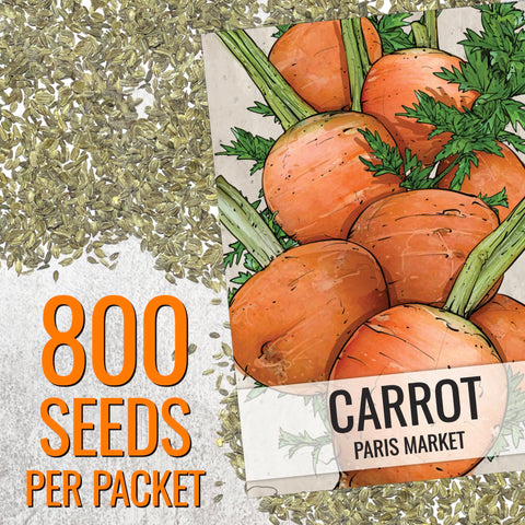 Seed Needs Paris Market carrot container garden ideal for small spaces