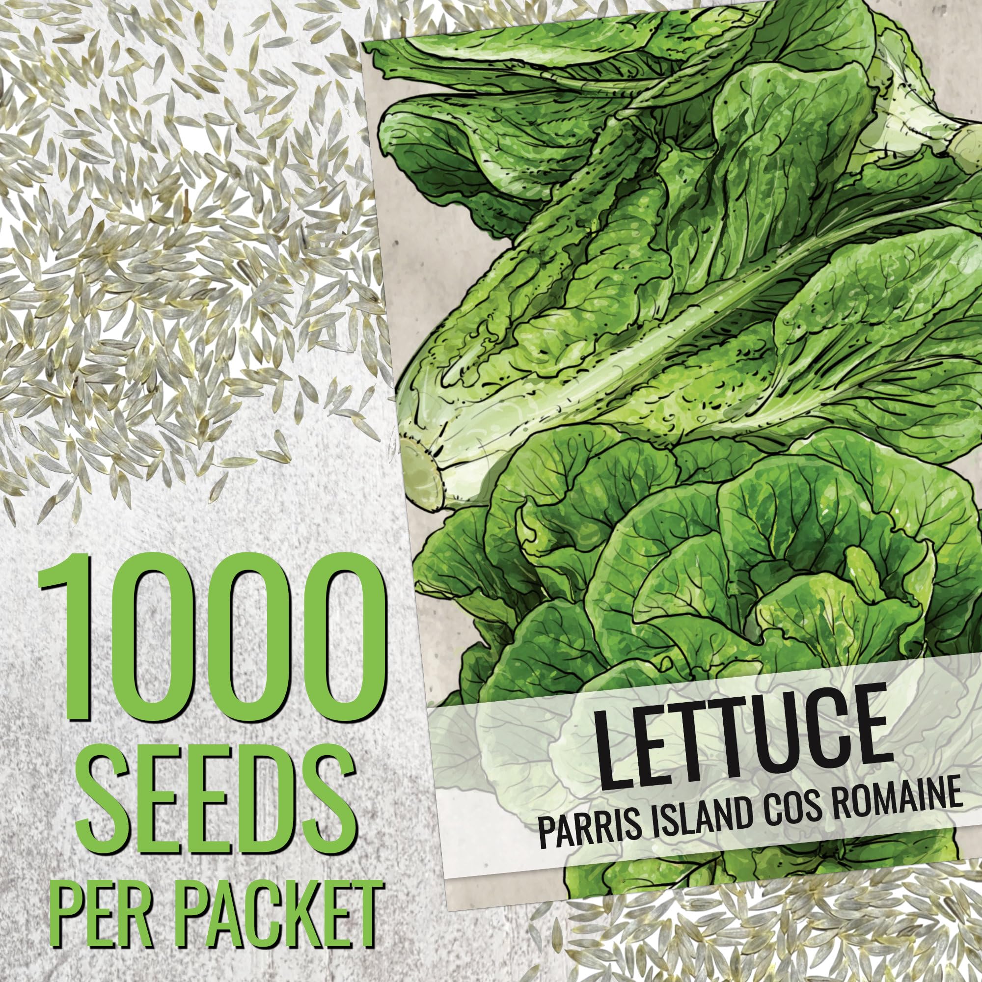 Seed Needs Parris Island COS close-up leaves, crisp and salad-ready.