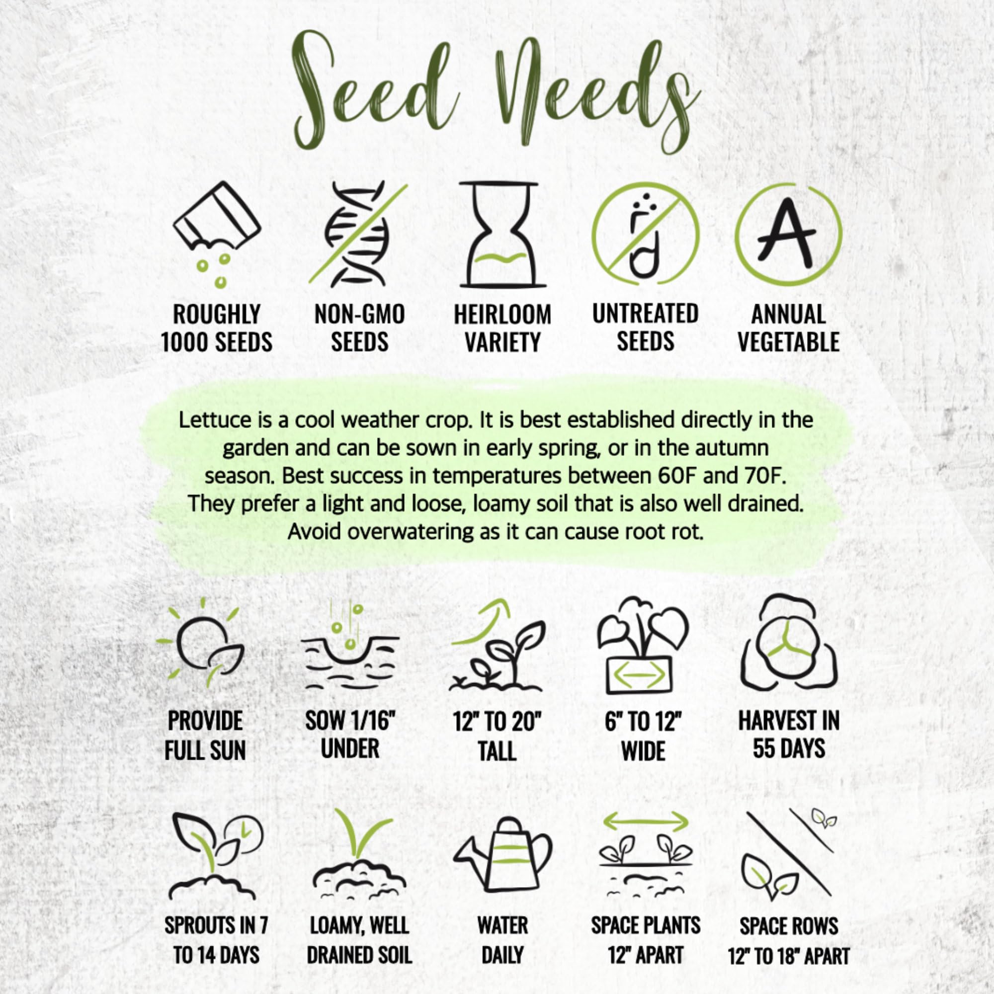 Seed Needs Parris Island COS lettuce in a bright home garden salad.