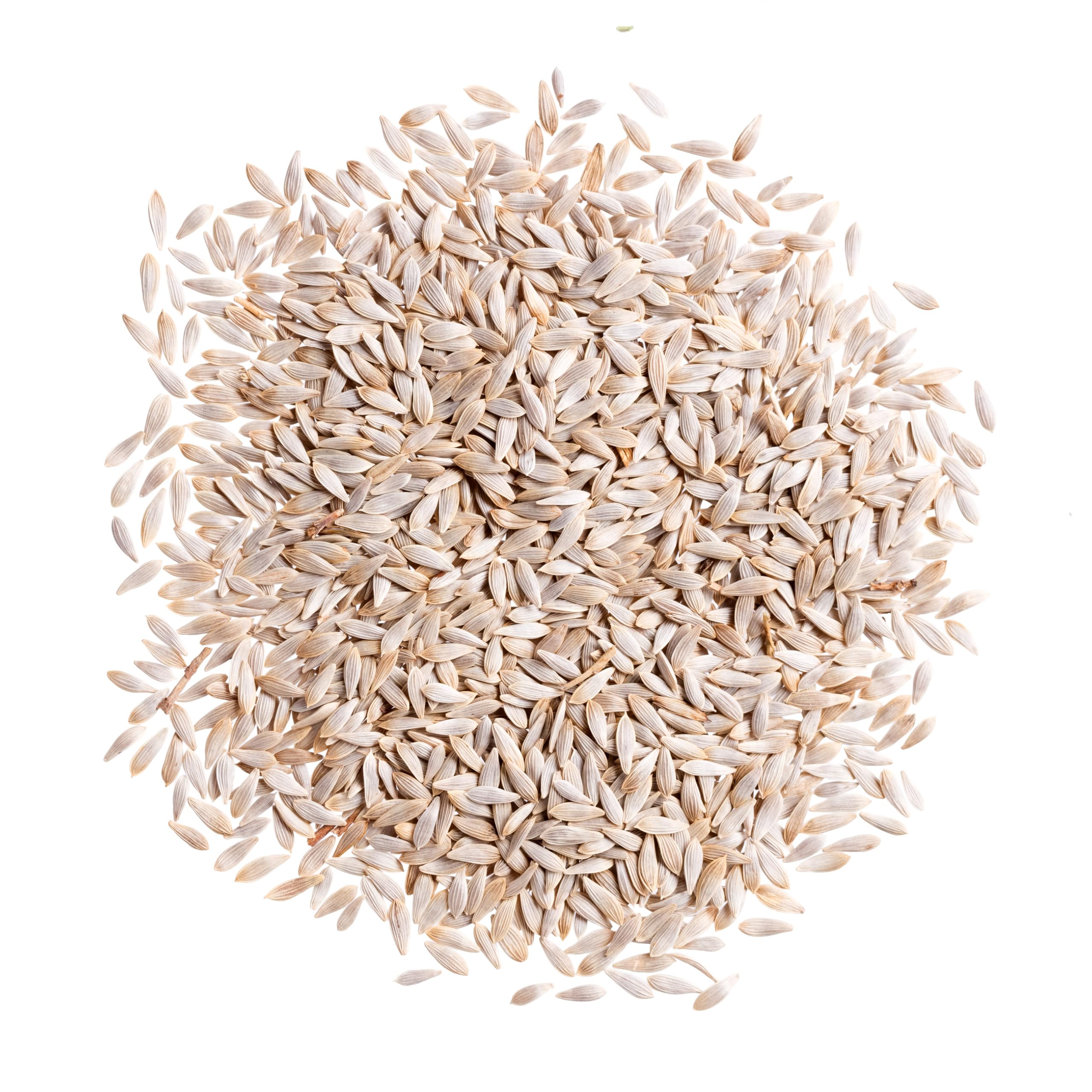 Seed Needs packaging shows freshness and non-GMO seed stock for Parris Island COS.