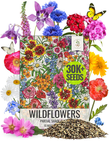 Seed Needs partial shade wildflower seed mix in 2oz packaging for shady borders.
