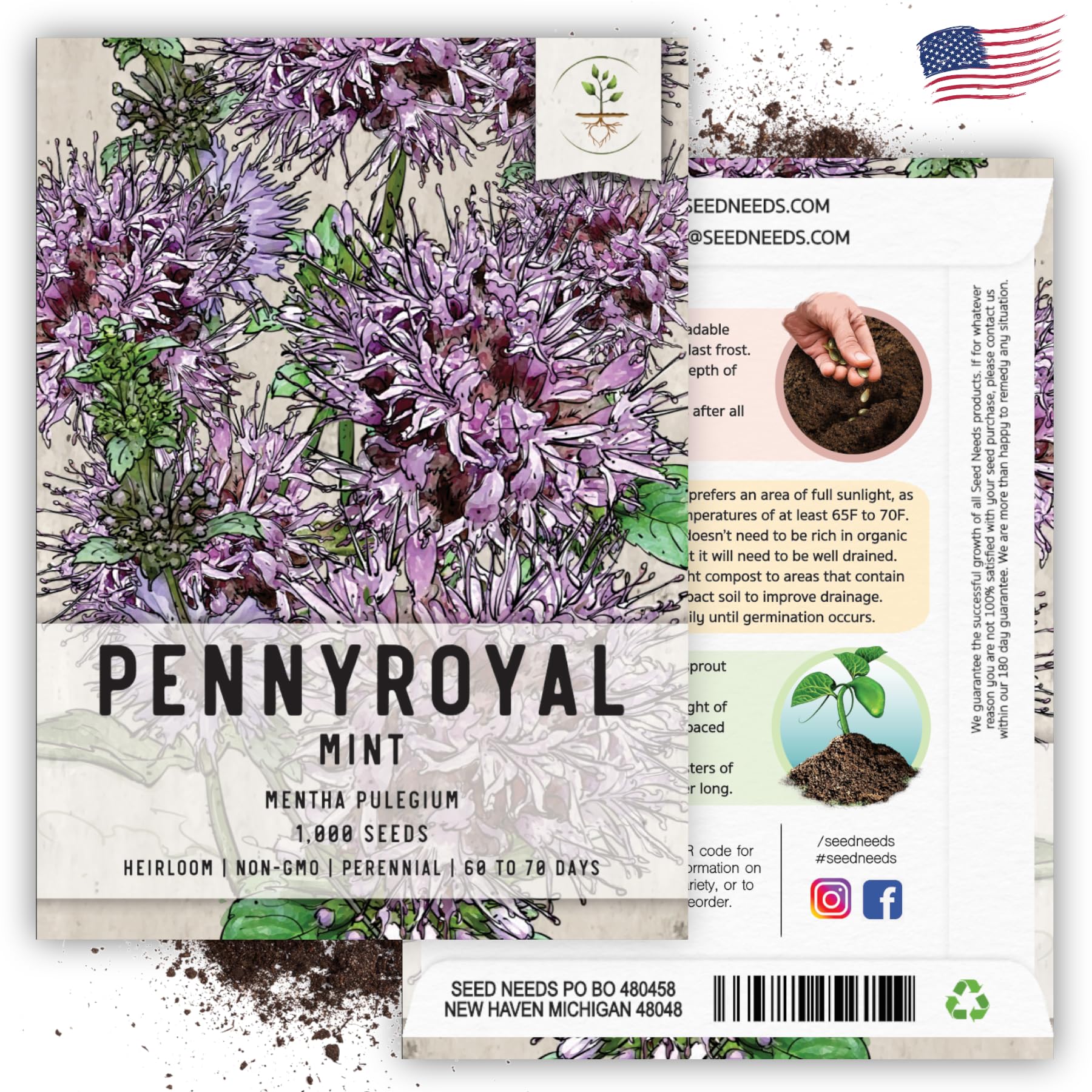 Seed Needs Pennyroyal mint seeds blooming for fragrance and pollinator-friendly plots.