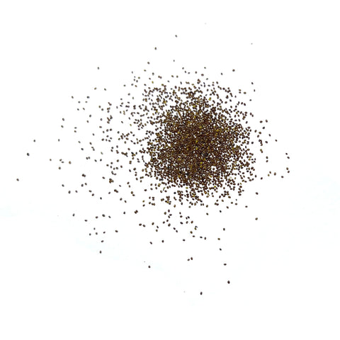 Seed Needs Pennyroyal mint seeds in garden setting ready for outdoor cultivation.