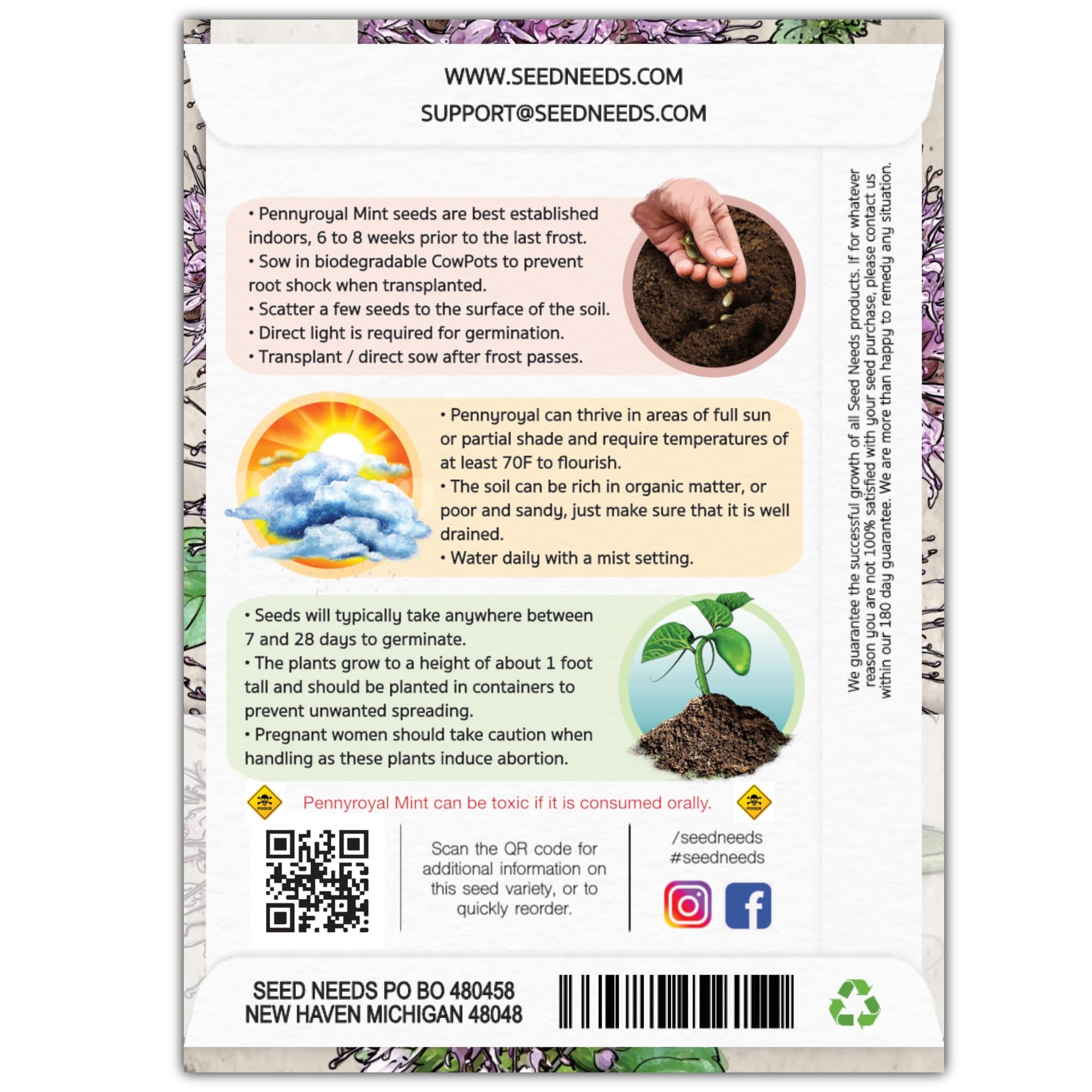 Seed Needs Pennyroyal mint seeds pack shot for easy home planting.