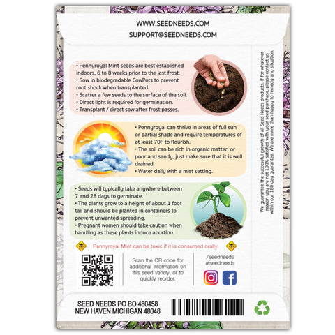 Seed Needs Pennyroyal mint seeds pack shot for easy home planting.