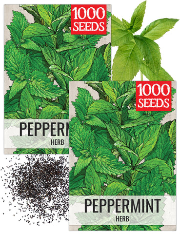 Seed Needs peppermint seed packets open-pollinated heirloom for home gardens