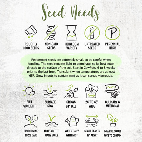 Seed Needs peppermint two-pack packaging offers great value