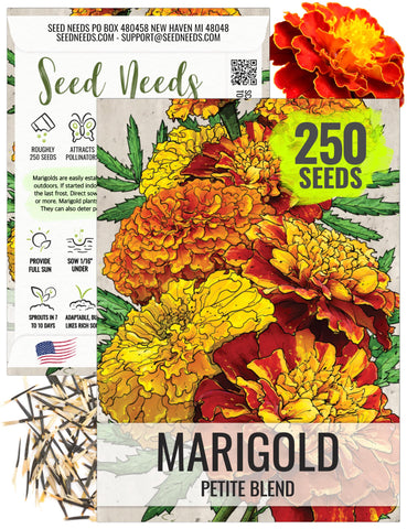 Seed Needs Petite Marigold seeds blend with vibrant heirloom blooms for borders and containers.