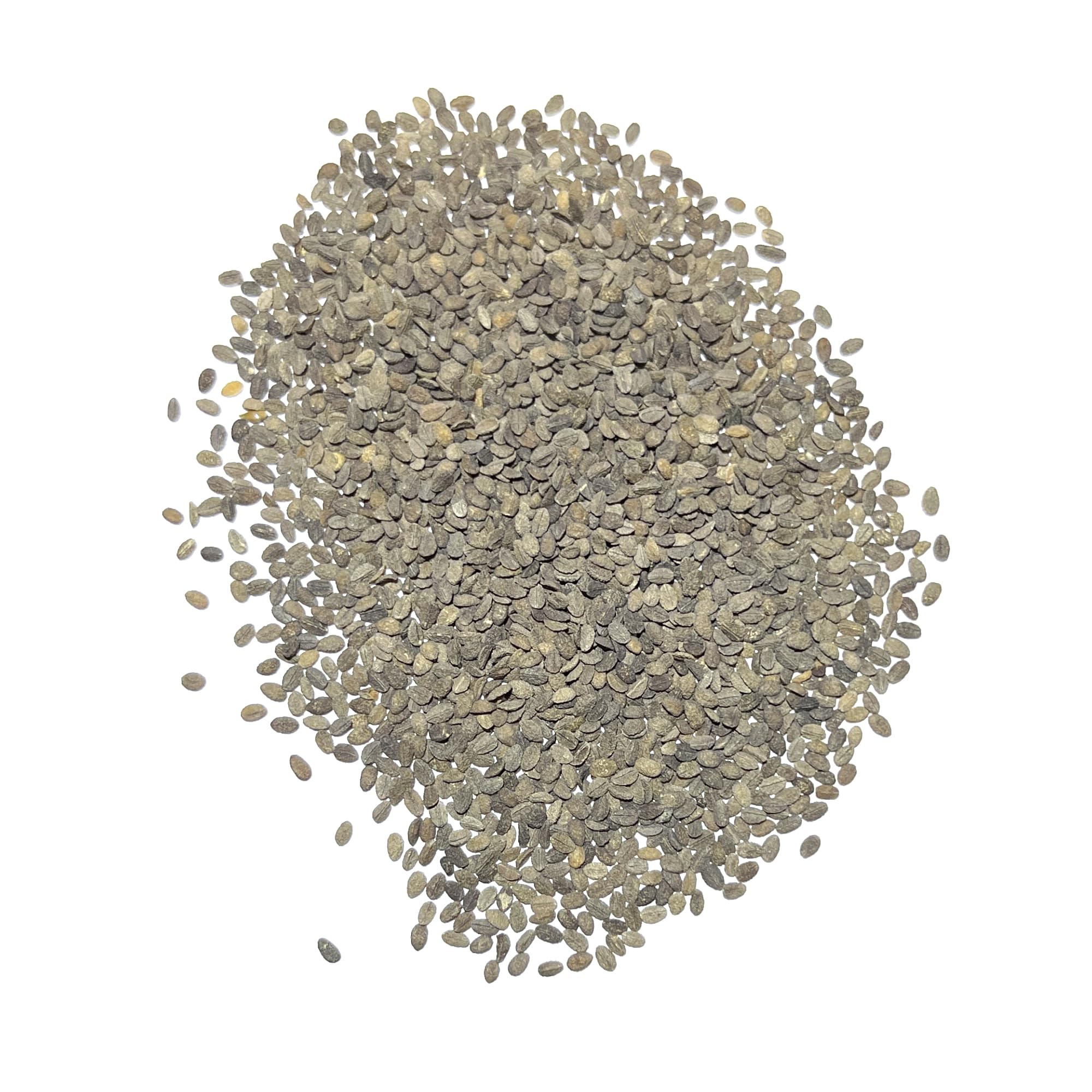 Seed Needs phlox clusters border garden demonstrates edging or ground cover potential.