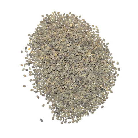 Seed Needs phlox clusters border garden demonstrates edging or ground cover potential.