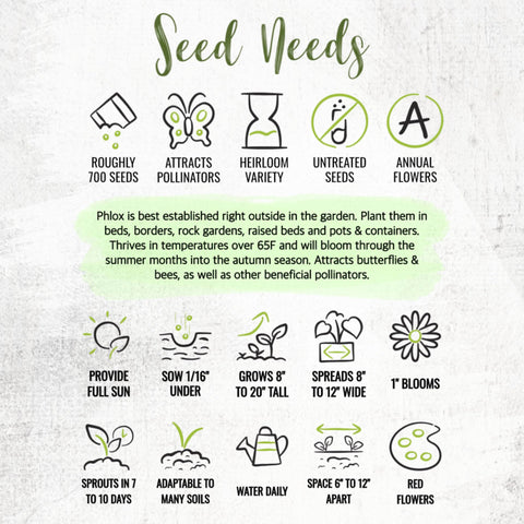 Seed Needs seeds from growers with clear sowing instructions for quick germination.