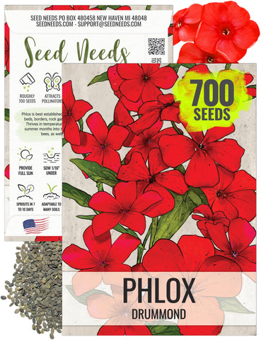 Seed Needs Red Drummond Phlox bloom, vibrant red color attracts butterflies in sunny borders.