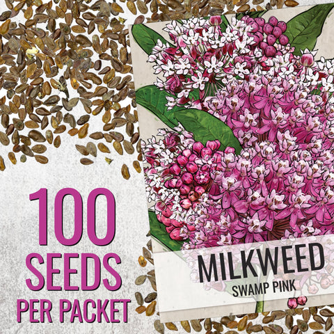 Seed Needs Pink Swamp Milkweed germination image demonstrating seeds ready to sprout