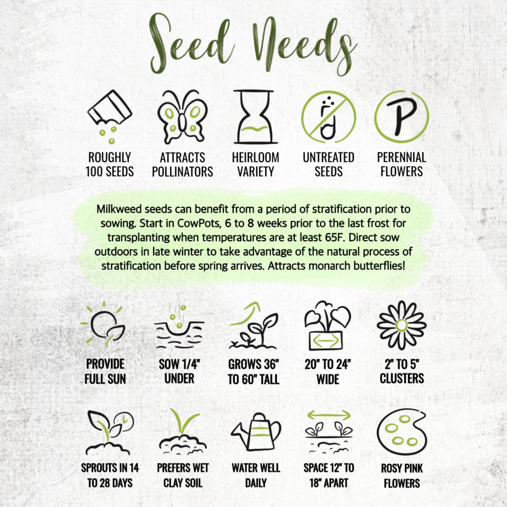 Seed Needs Pink Swamp Milkweed monarch-garden image supporting monarch larvae and pollinators