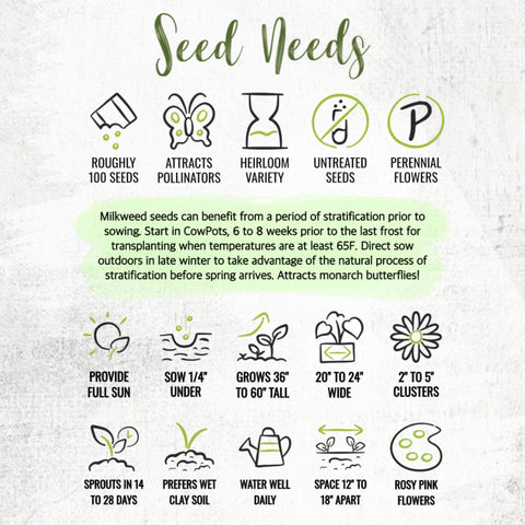 Seed Needs Pink Swamp Milkweed monarch-garden image supporting monarch larvae and pollinators