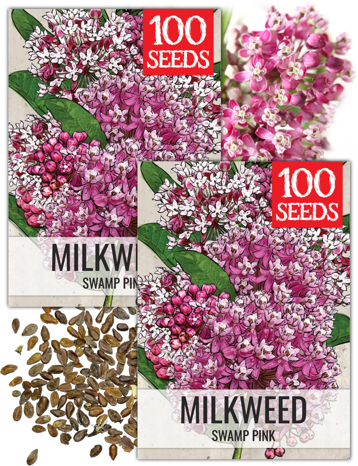 Seed Needs Pink Swamp Milkweed seed-pack image showing fresh heirloom seeds ready for planting