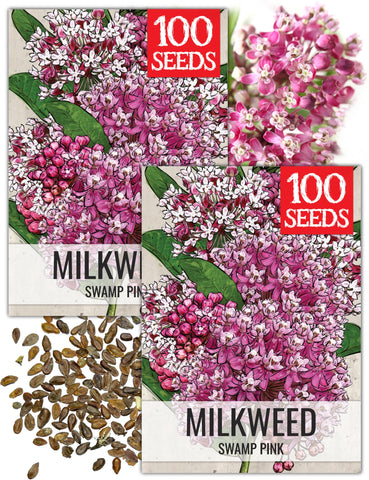 Seed Needs Pink Swamp Milkweed seed-pack image showing fresh heirloom seeds ready for planting