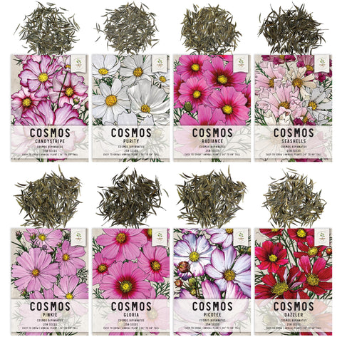 Seed Needs Pinkie cosmos seeds soft pink blooms for sunny beds.