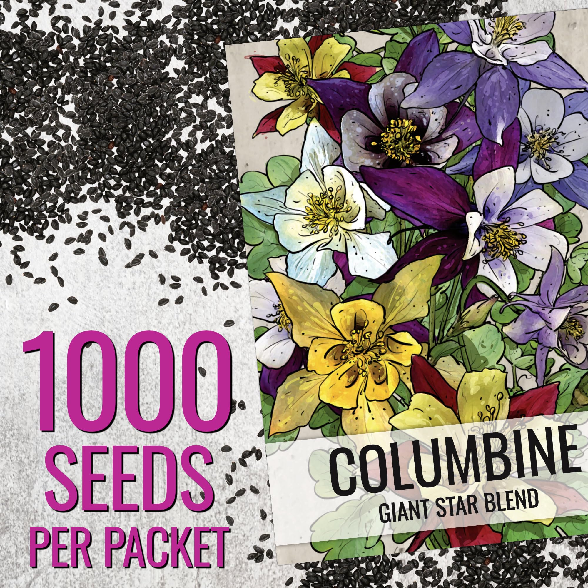 Seed Needs pollinator-friendly columbine garden shot inviting bees and butterflies.