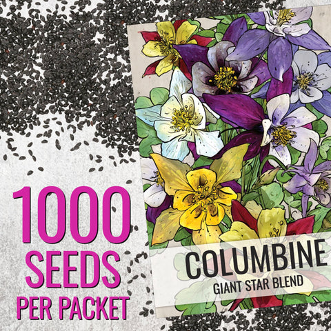 Seed Needs pollinator-friendly columbine garden shot inviting bees and butterflies.