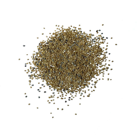 Seed Needs pollinator-friendly mix attracts bees and butterflies to your landscape.