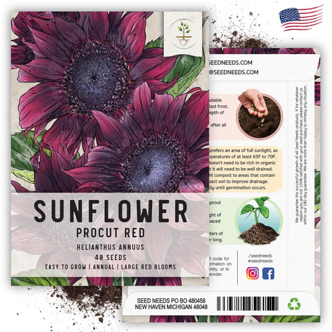 Seed Needs ProCut Red Sunflower seeds arrive fresh, ready for sowing and quick germination.