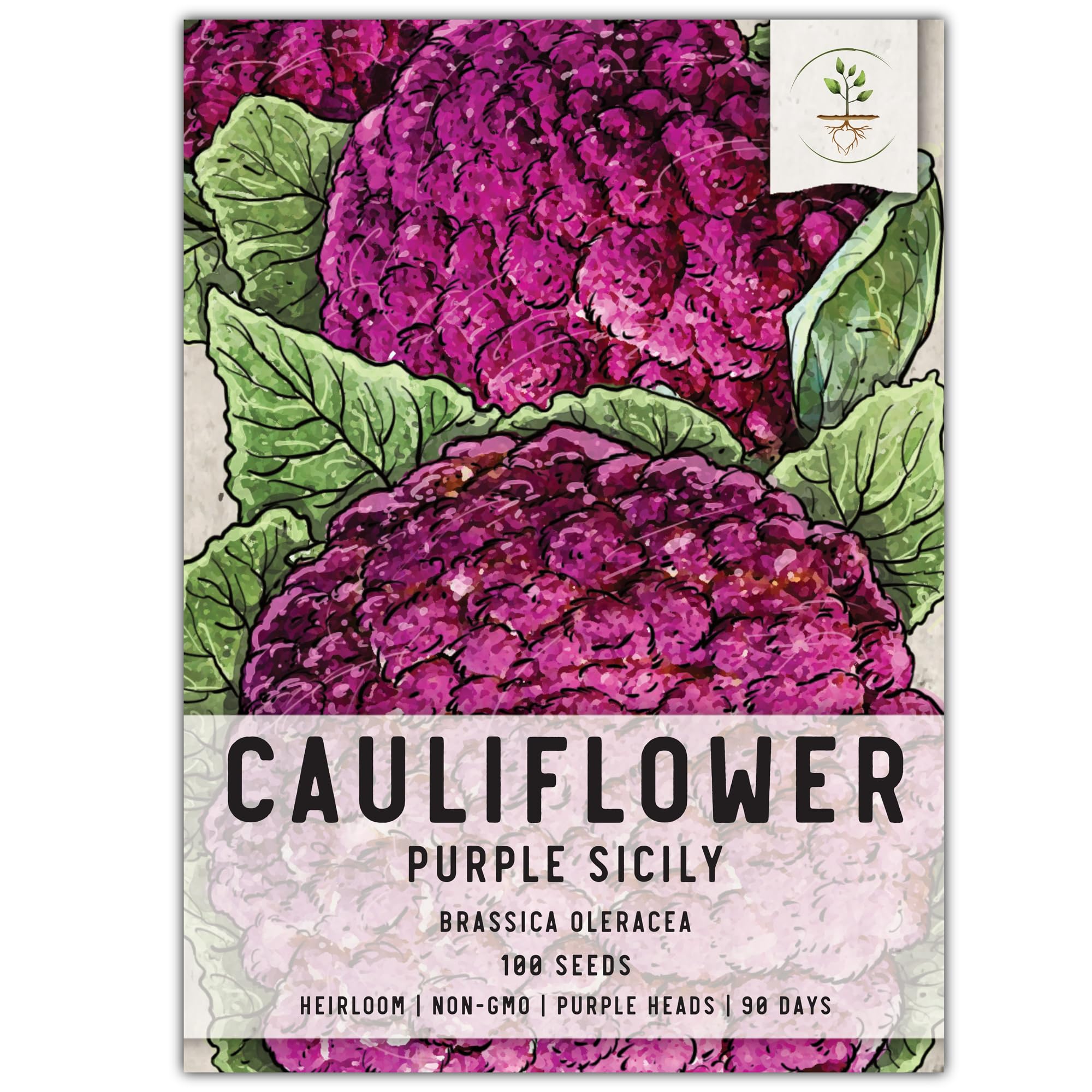Seed Needs Purple of Sicily seed pack ready for home planting