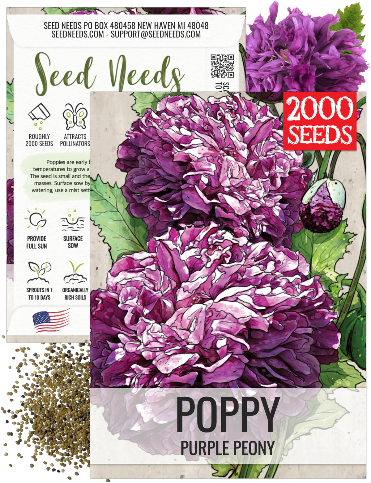 Seed Needs Purple Peony Poppies seed pack ready for garden sowing and pollinator attraction.
