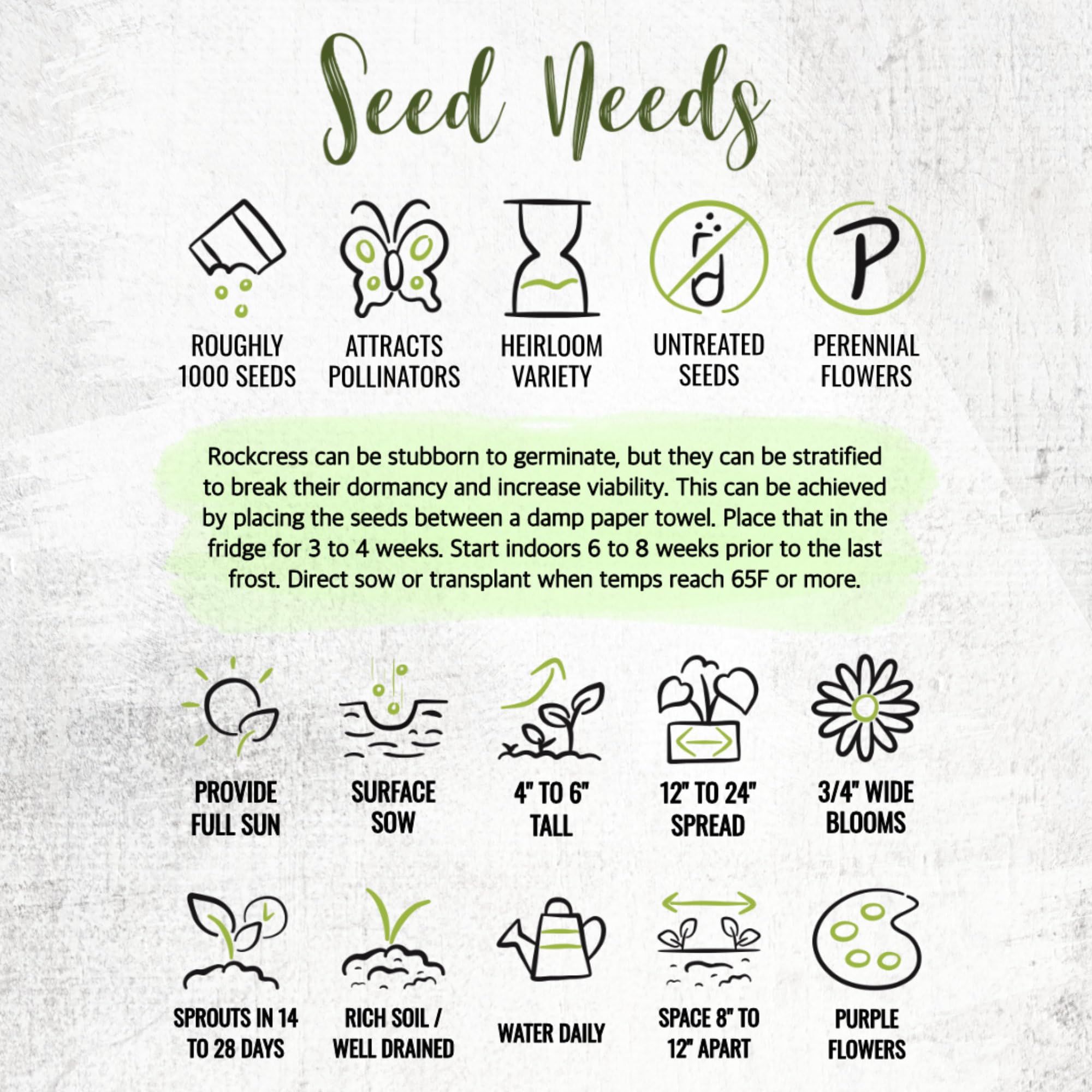 Seed Needs Purple Rockcress seeds: open-pollinated heritage seeds for traditional gardens.