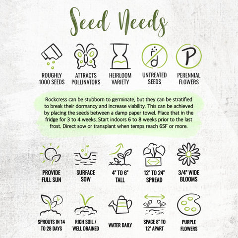 Seed Needs Purple Rockcress seeds: open-pollinated heritage seeds for traditional gardens.