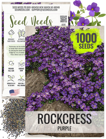 Seed Needs Purple Rockcress seeds: packet illustration with vibrant purples and sowing tips.