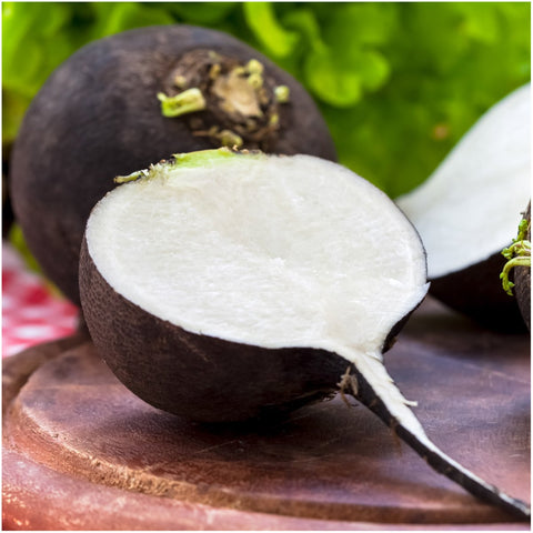 Seed Needs radish collection packets illustrations aid visual planting planning.