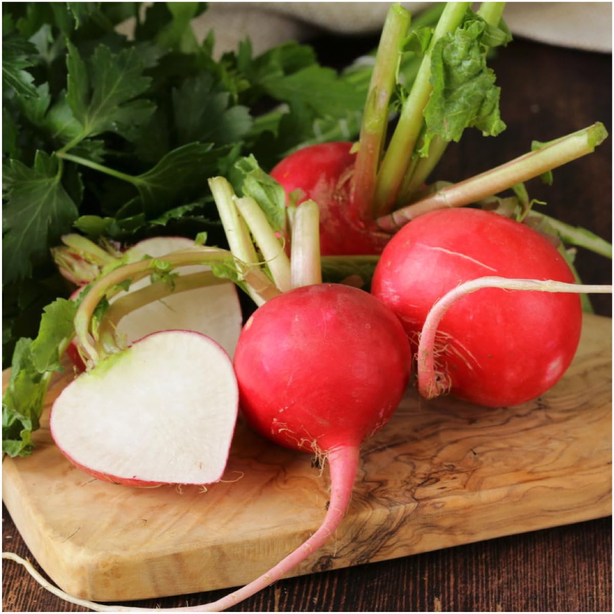 Seed Needs radish leaves ready for salads, showcasing versatile greens alongside the root.