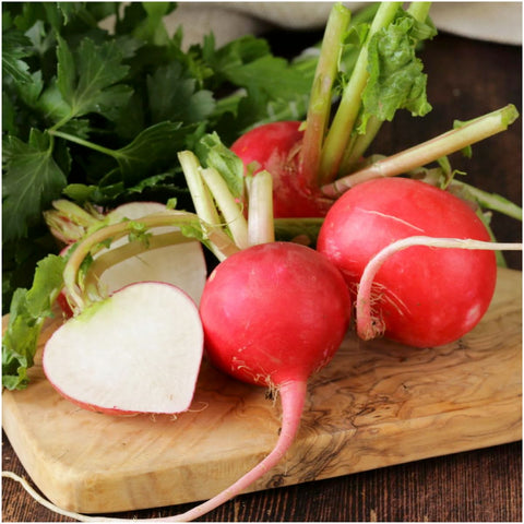 Seed Needs radish leaves ready for salads, showcasing versatile greens alongside the root.