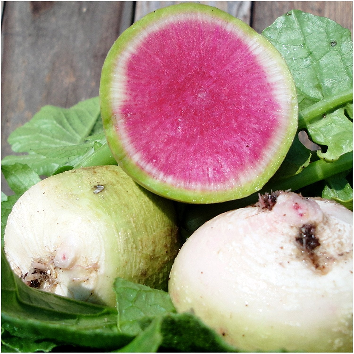 Seed Needs radish seed packets back show sowing instructions for success.